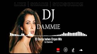 El Donia Helwa  Organ Mix  Nancy Ajram  DJ Dammie [upl. by Mit705]