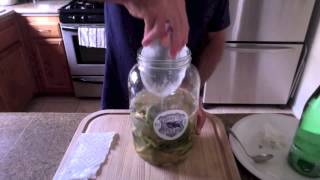 Fermented Garlic Dilly Beans [upl. by Nawuq]