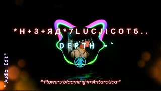 Vyral phonk  quot Н3ЯД7luCJIcOT6   quot Flowers are blooming in Antarctica  ftvisuals3dbeatz [upl. by Fiertz]