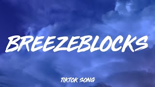 altJ  Breezeblocks Lyrics quotPlease dont go I love you so my lovely TikTok Song [upl. by Asert527]