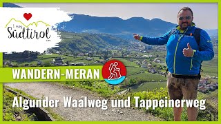 WANDERN MERAN ❤️ Südtiroler Waalwege Wandern über den Algunder Waalweg amp Tappeinerweg nach Meran [upl. by Oisor]