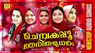 Chembakapoo Thenithaladharam  Hit Nonstop Mappilappattu Audio Jukebox  Shahaja  Meharin  Nasnin [upl. by Mosnar126]