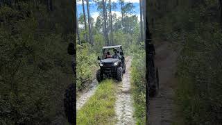 That Was Easy View 2  Honda Pioneer 520 Silver Lake OHV Tallahassee FL redclayriders atv shorts [upl. by Koralie687]