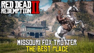 Missouri fox trotter the easiest and fastest way  RDR2 [upl. by Michaela]