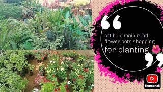 attibele main road flower pots shopping for planting 🌺🌺 [upl. by Juetta]