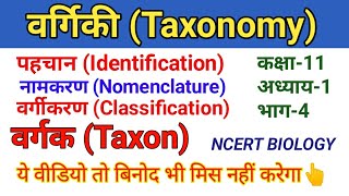 अध्याय 1 जीव जगत भाग 4 वर्गिकी एवं वर्गिकी संवर्ग Taxonomy amp Taxonomical Category [upl. by Duthie]