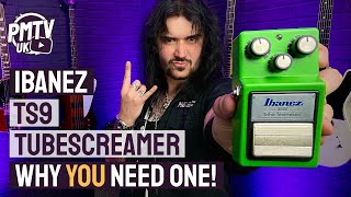 Ibanez TS9 Tubescreamer  The MUST HAVE Overdrive Pedal  Review amp Demo [upl. by Ailekahs]