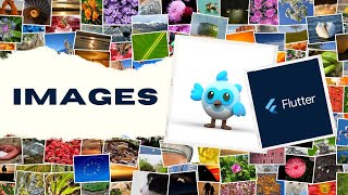 How to Display Images in Flutter Asset Images Network Images amp Image Caching [upl. by Callista]