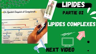 📣4 Les Lipides Partie 02  Les Lipides COMPLEXES اقوى شرح لللبيدات😍 LIPIDSMEDECINE BIOLOGY [upl. by Constantine]