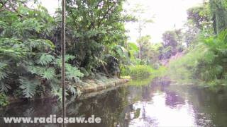 Eröffnung Gondwanaland im Zoo Leipzig [upl. by Lunna945]