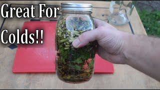 How To Make Echinacea Tincture [upl. by Genni421]