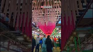 🇨🇦Montréal 📍marché Jean Talon tour citytour citywalks montreal shorts explore walks canada [upl. by Uziel]