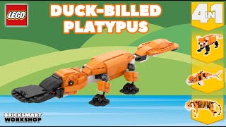 ASL DuckBilled Platypus for Kids [upl. by Niggem]