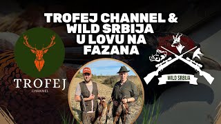 Trofej Channel i WILD Srbija u Lovu na FazanaTrofej Channel and WILD Srbija Pheasant hunting E219 [upl. by Roscoe965]