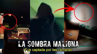 EL ESCALOFRIANTE VIDEO del ESPECTRO de SOMBRAS que se Asomó en la CÁMARA de SEGURIDAD [upl. by Llevol]