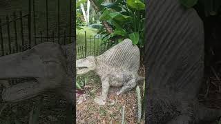 The Dimetrodon DinosaurOMG shorts [upl. by Funch]