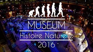 Muséum dHistoire Naturelle  Paris [upl. by Eyt755]