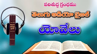 29యోవేలు గ్రంథముYovelu GrandhamuThe Book of JoelTelugu Audio Bible Full [upl. by Abana994]