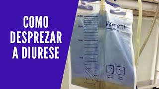 Cateterismo Vesical  Como Desprezar a Diurese da Sonda Vesical de Demora [upl. by Radmilla]