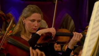 Beethoven Symphony no6 op68 quotPastoralequot  Sinfonia Rotterdam  Conrad van Alphen [upl. by Goldia]