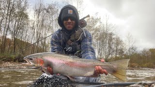 INSANE Fishing for Lake Erie PA Steelhead on the Fly Part 1 [upl. by Eiwoh747]