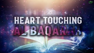 THE MOST HEART TOUCHING RECITATION OF SURAH BAQARAH [upl. by Acinahs]