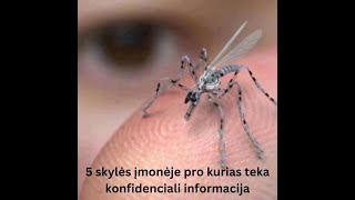 5 skylės įmonėje pro kurias teka konfidenciali informacija [upl. by Sekofski]