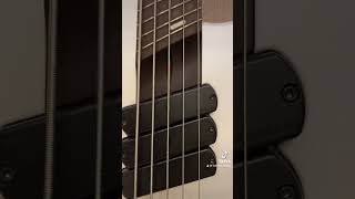 Dingwall bass 5 string [upl. by Hachmann]