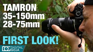 TAMRON 35150mm amp TAMRON 2875mm G2 Field Test in Nature Trails [upl. by Soalokin]