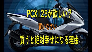 【完全版】PCX125はどう？ツーリング？買ったら幸せになる理由 [upl. by Euqor]