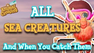 EVERY Sea Creature And When You Can Catch Them Both Hemispheres  Animal Crossing New Horizons [upl. by Alwitt]