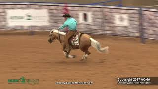 2017 AQHA Select Reining World Champion [upl. by Lled420]