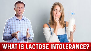 What is Lactose Intolerance Explained By Dr Berg [upl. by Deth]