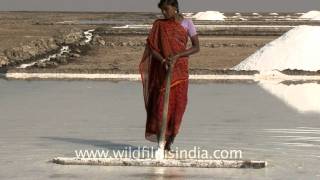 Turning water into crystals of salt Gujarat [upl. by Notyalc687]