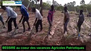 VACANCES AGRICOLES PATRIOTIQUES À BESSIRE CHEZ OUSMANE SONKO LES JEUNES PATRIOTES SACTIVENT [upl. by Esmerolda]