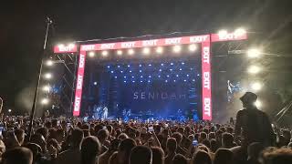 Senidah  Behute 2022 Exit fest live snippet [upl. by Dodge]