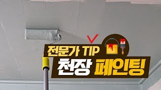 페인트 칠 Basic 전문가처럼 천장 페인트 칠하기 [upl. by Geraldine]