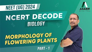 Morphology Of Flowering Plants Part1  Important for NEET 2024 Exam 📚Biology NCERT Decode [upl. by Hospers425]