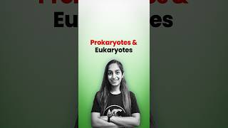 Prokaryotes amp Eukaryotes [upl. by Grussing]