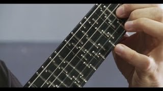 Microtonal Guitar Fixed Fret  Tolgahan Çoğulu [upl. by Doti]