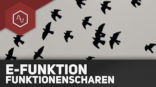 Funktionsscharen bei eFunktionen [upl. by Airet]