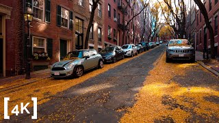 Relaxing walk at Beacon Hill  Boston MA  Fall Leaves ASMR [upl. by Aneret]