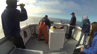 San Francisco Northern California Salmon Fishing Fishin Game Charters [upl. by Chita949]