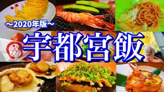 【宇都宮絶品グルメ】餃子だけじゃない！地元民おすすめの本当に美味い店！〜夏の栃木旅行編〜 [upl. by Nandor]