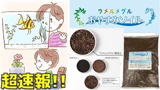 【速報】GEXが死んだ魚を埋葬する専用土を新発売した件【ふぶきテトラ】 [upl. by Lubba380]