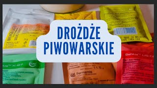 Górna dolna fermentacja Krótkie wprowadzenie [upl. by Idihc]