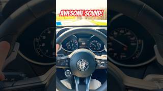 ALFA ROMEO Stelvio Veloce Acceleration W Ragazzon Exhaust cars shorts alfaromeo [upl. by Marks675]