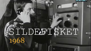 Sildefisket  1968 Fiskerne samler seg der de forventer at silda vil komme [upl. by Ardaid]