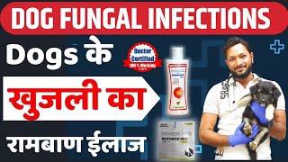 Kutte Ki Khujli Ke Liye Gharelu Upay Kutte ki Khujli Ka Ilaj Dog fungal Infection Treatment In Hindi [upl. by Marx]