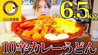 【大食い】激辛CoCo壱10辛うどん総重量6kg超えの高難易度メニューにぞうさん大苦戦…。【ぞうさんパクパク】【麺屋ここいち】 [upl. by Martsen]